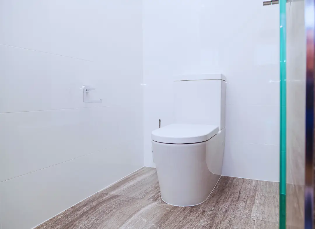 Remplacement de wc Garons